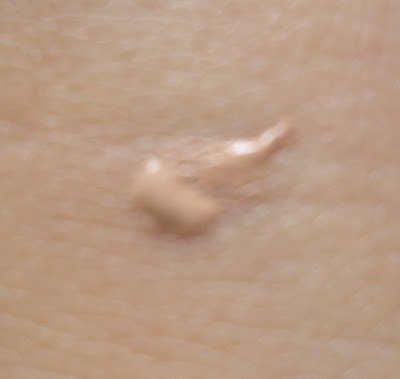 Living Nature Concealer Review