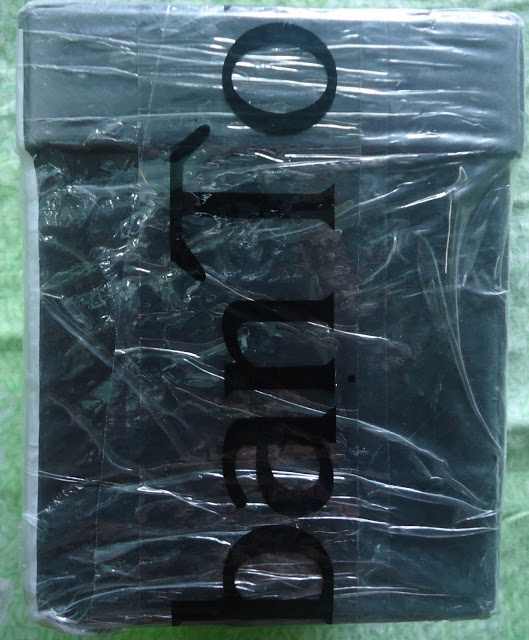 My Experience with UrbanTouch.com