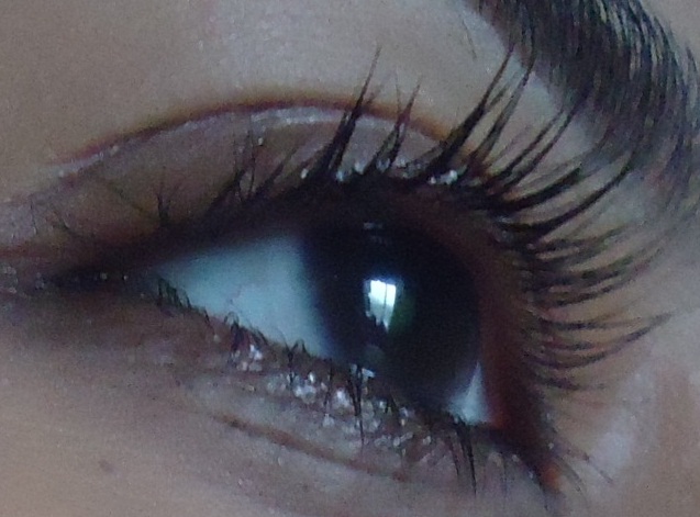 Illamasqua Masquara Raven Review