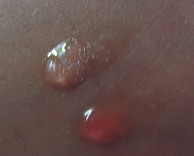 Maybelline Fruit Jelly Lip Gloss Review, Swatches