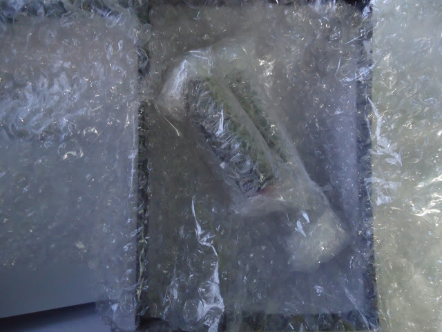 My Experience with BLAB