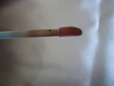 Elizabeth Grant Light Up Your Lips Lipgloss Review,Swatches