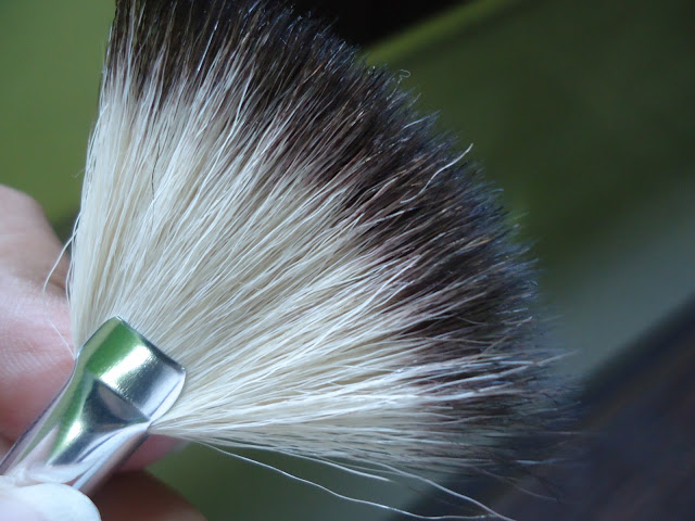 Mineralissima 12-pcs Makeup Brush Set Review