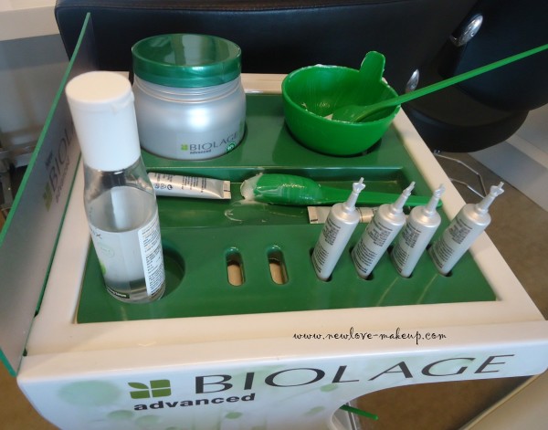 Matrix Biolage Advanced Fiberstrong Treatment and Range Review