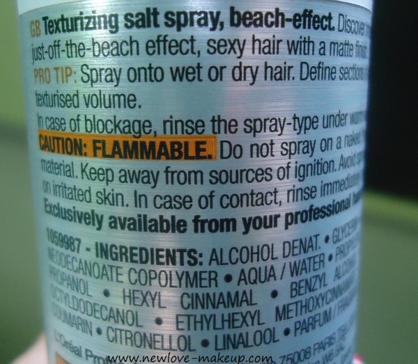 L'Oreal Professional Wild Stylers by Tecni.Art Beach Waves Texturizing Salt Spray