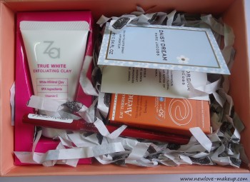 April 2015 My Envy Box Review, Indian Makeup and Beauty Blog