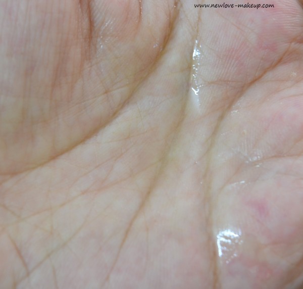 The Body Shop Japanese Camellia Cream, French Lavender Massage Oil Review