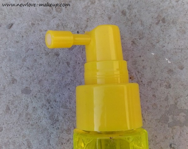 BBlunt Blown Away Volumizing Leave-in Spray Review, Indian Beauty Blog, Hair Care