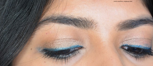 Colorbar All Day Waterproof Eyeshadow Sticks, Diamond Shine Lip Gloss Review, Swatches