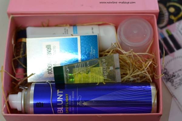 April 2016 My Envy Box Unboxing, Review, Indian Makeup and Beauty Blog, Subscription Boxes