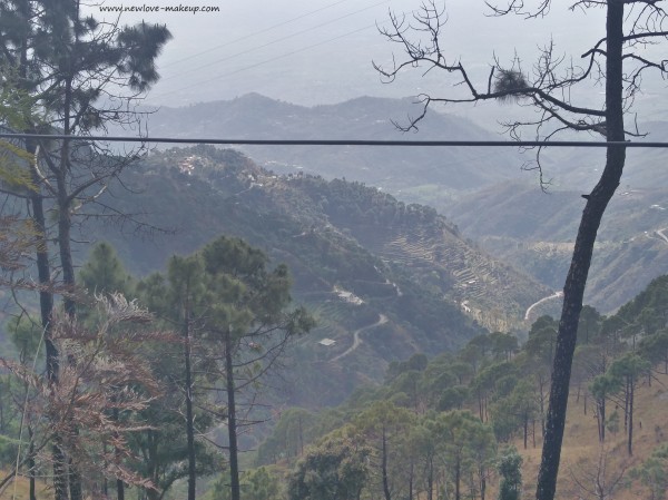 All About my Kasauli & Mashobra Trip/How to Plan, What to Cover, etc., Indian Travel Blog