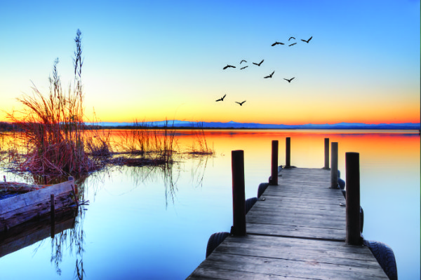 What's You MQ & All About #CityOfMusic