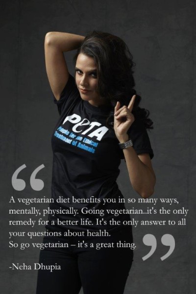 10 Bollywood Celebrities Who Turned Vegetarian, Bollywood Blog, Indian Blogger, Bombay Blogger,Bollywood
