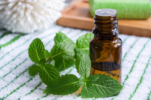 Top 10 Types of Essential Oils, Their Uses and Benefits, How to Use, Buy Online