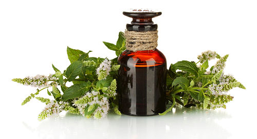 Top 10 Types of Essential Oils, Their Uses and Benefits, How to Use, Buy Online