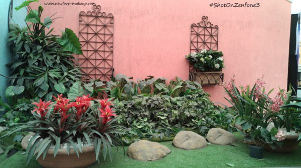 Asus Zenfone 3 Review: Specs, Pictures, Price, Indian Lifestyle Blog, Smartphone Review India