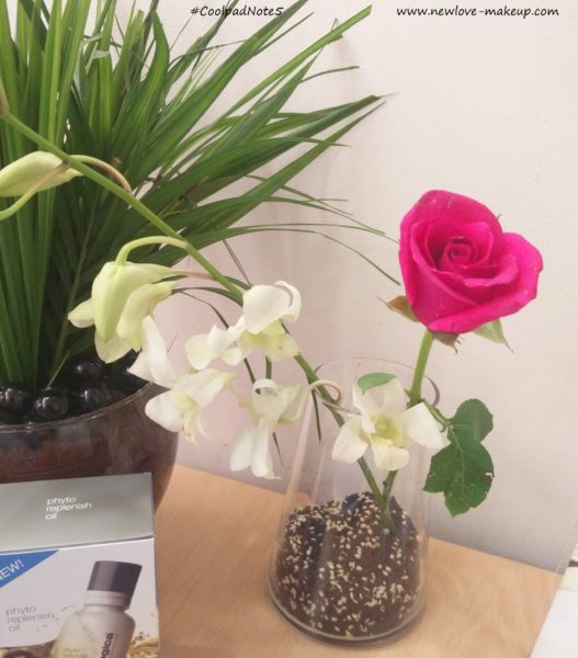 24 Hours with the New Coolpad Note 5