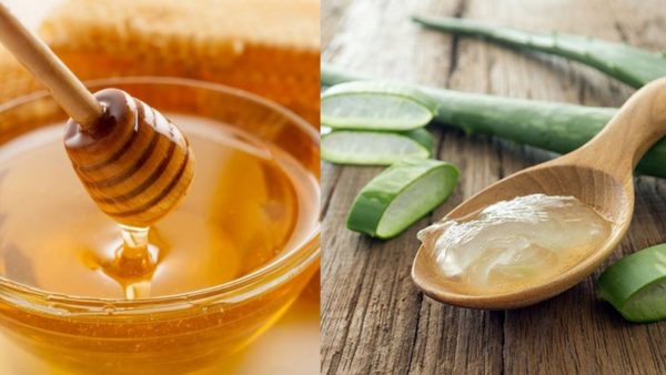 Best Aloe Vera Face Packs to get Clear, Glowing Skin