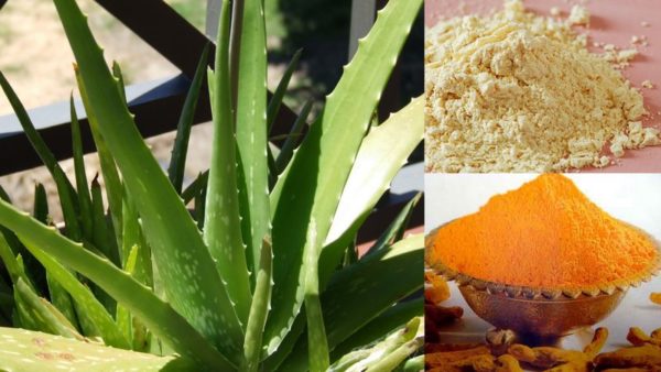 Best Aloe Vera Face Packs to get Clear, Glowing Skin