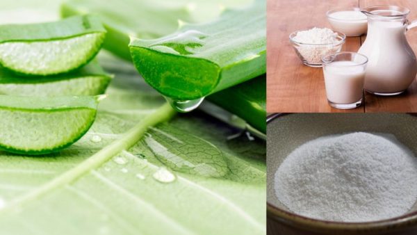 Best Aloe Vera Face Packs to get Clear, Glowing Skin