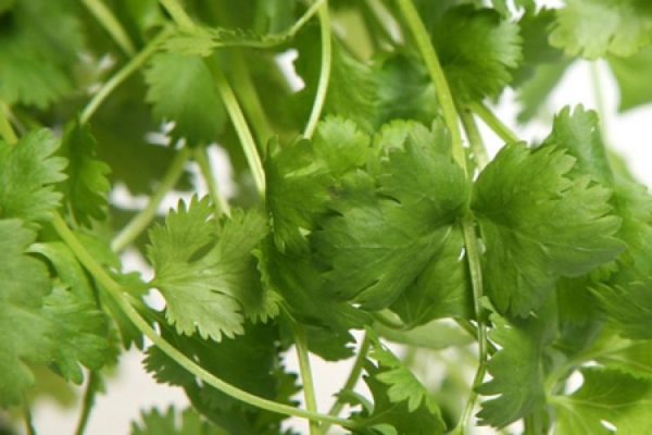 10 Ways To Get Soft, Pink Lips Naturally | Lighten Dark Lips, Beauty Tips, Home Remedies