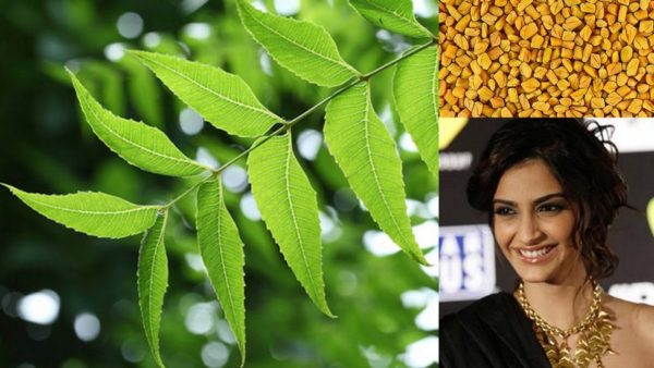 Fenugreek (Methi) for All your Skin Issues, Indian Skincare Blog